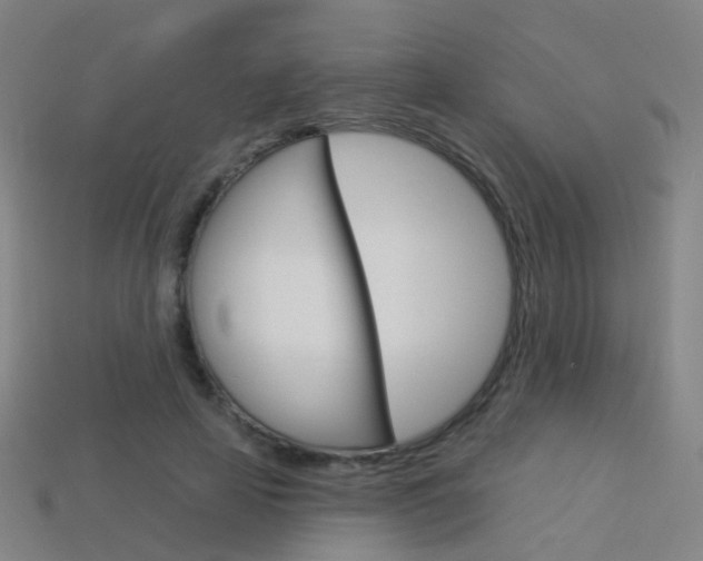 X0000114160641200910081134