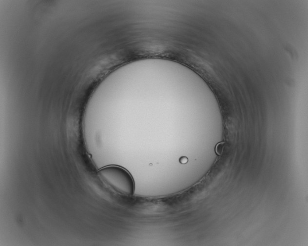 X0000114160642200910081134