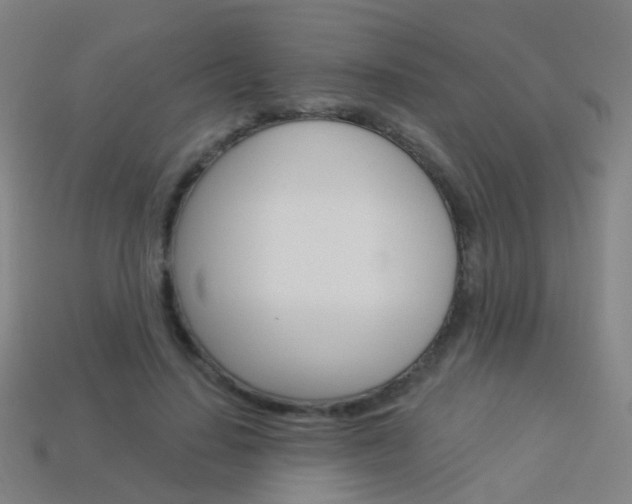 X0000114160644200910081134