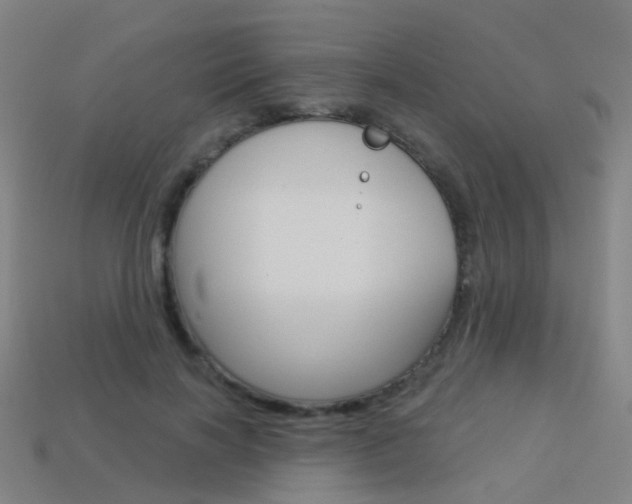 X0000114160646200910081134