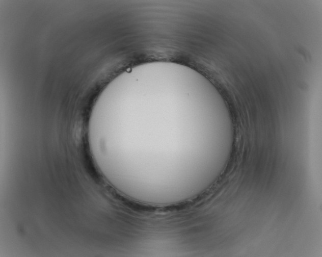 X0000114160647200910081134