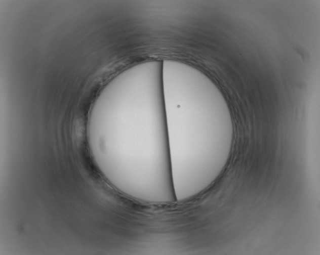 X0000114160648200910081134