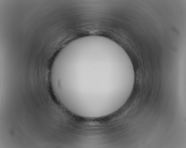 X0000114160650200910081134