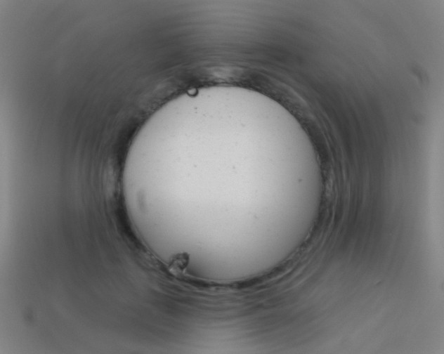 X0000114160651200910081134