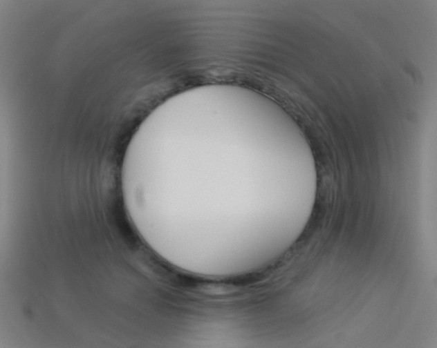 X0000114160654200910081134