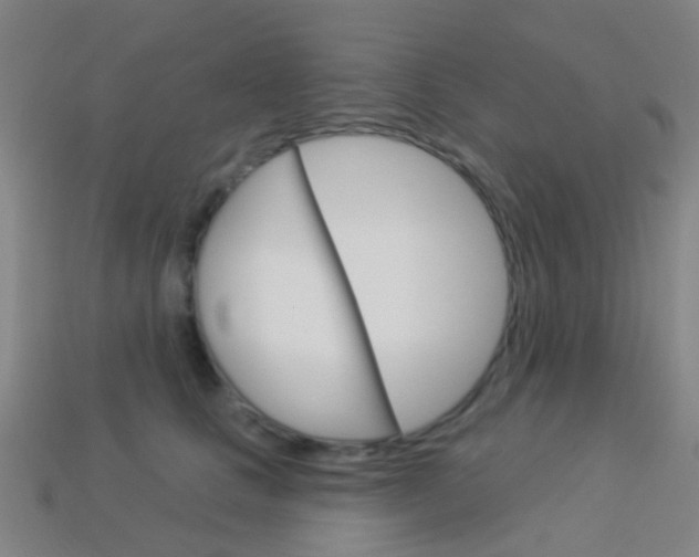 X0000114160661200910081134