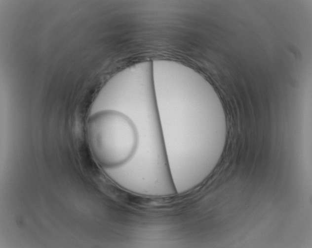 X0000114160662200910081134