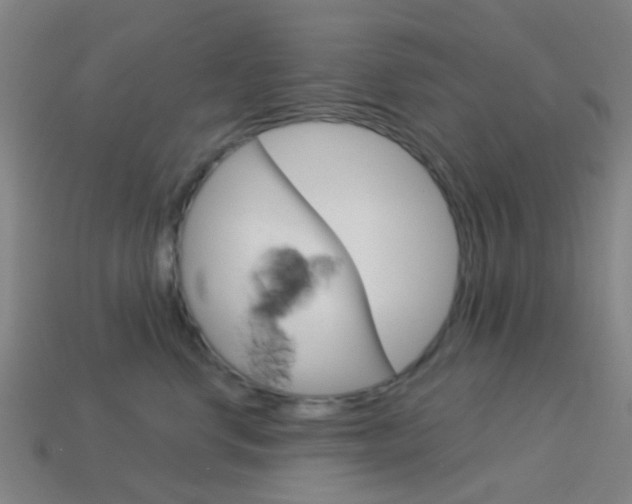 X0000114160668200910081135