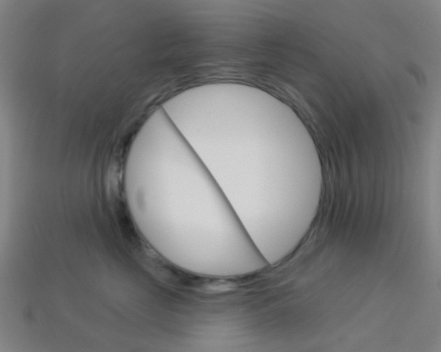 X0000114160669200910081135