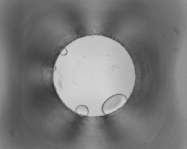 X0000114160672200910081135