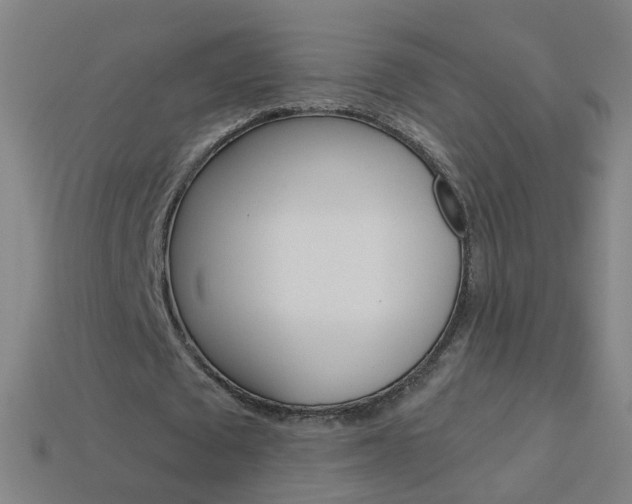 X0000114160673200910081134