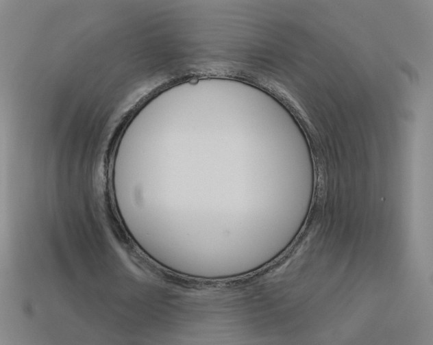 X0000114160674200910081134