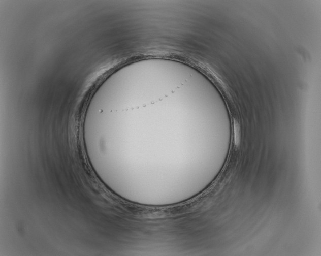 X0000114160675200910081134