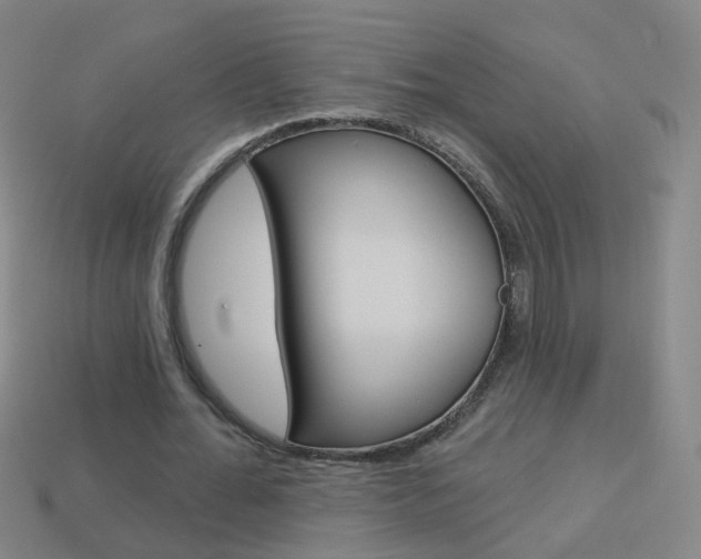 X0000114160676200910081134