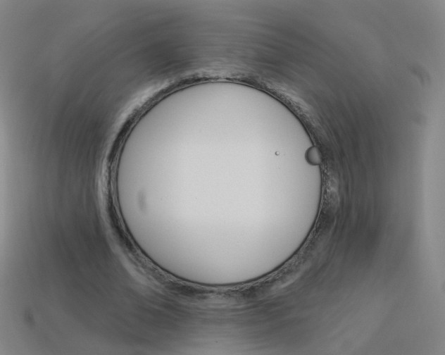 X0000114160678200910081134