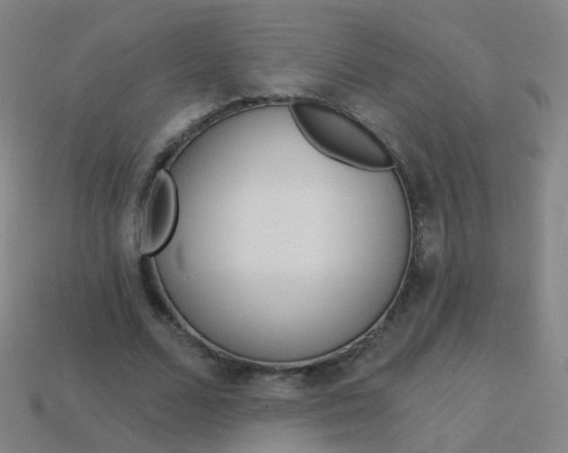 X0000114160680200910081134
