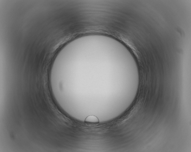 X0000114160681200910081134