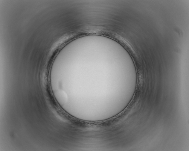 X0000114160682200910081134