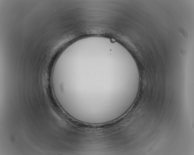 X0000114160683200910081134