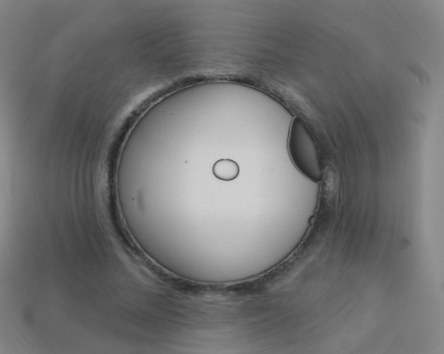 X0000114160684200910081134