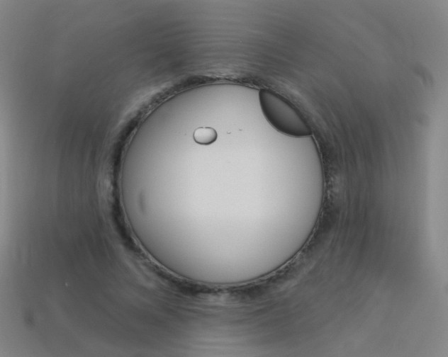 X0000114160688200910081134