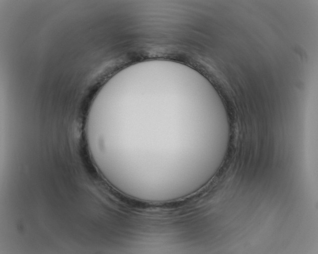 X0000114160691200910081134