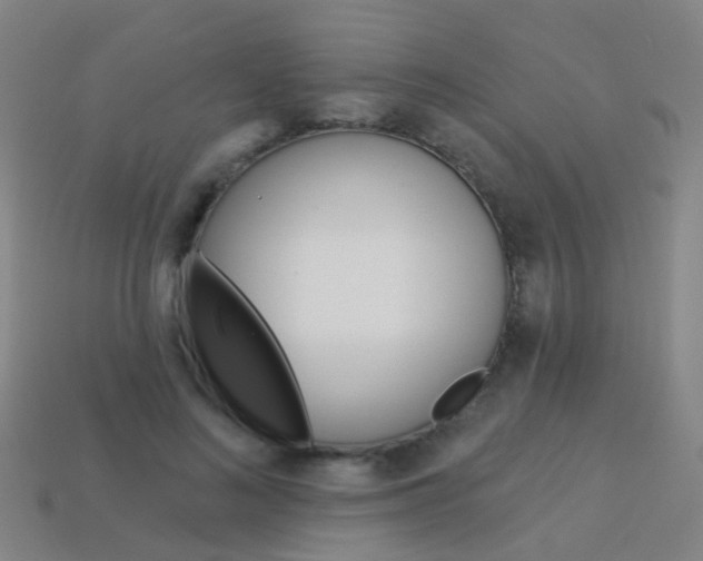 X0000114160692200910081134