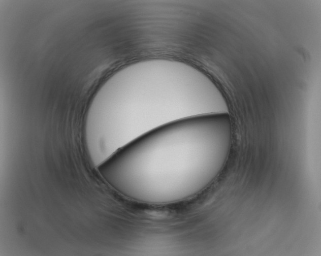 X0000114160693200910081134