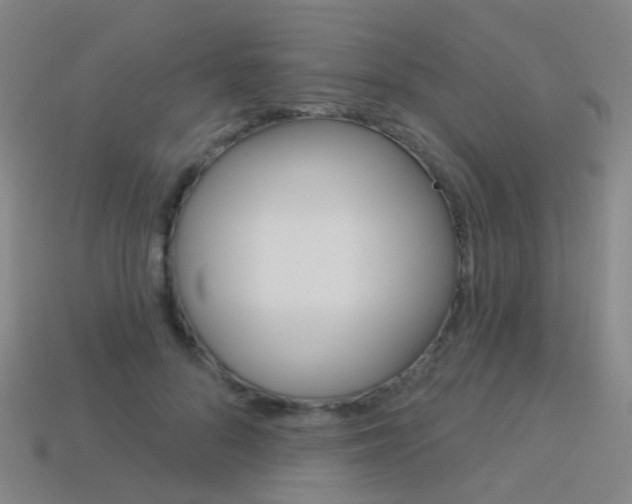 X0000114160696200910081134