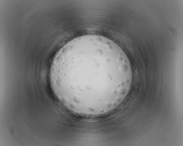 X0000114160698200910081134
