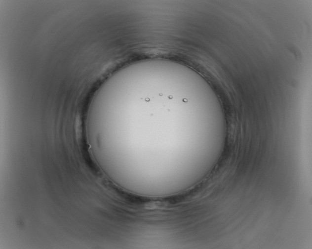 X0000114160700200910081134