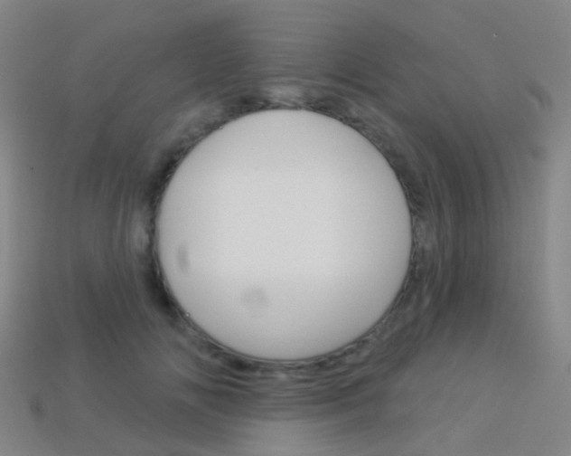 X0000114160702200910081134