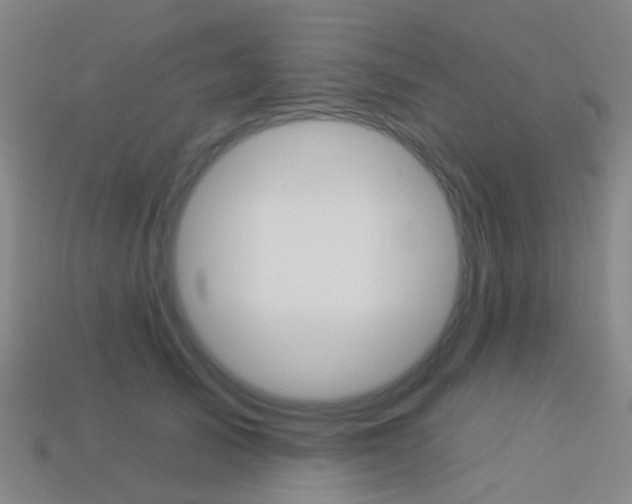 X0000114160705200910081134