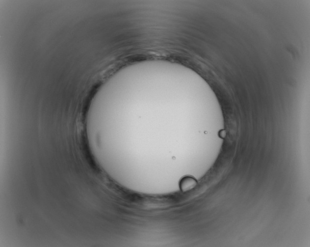 X0000114160707200910081134