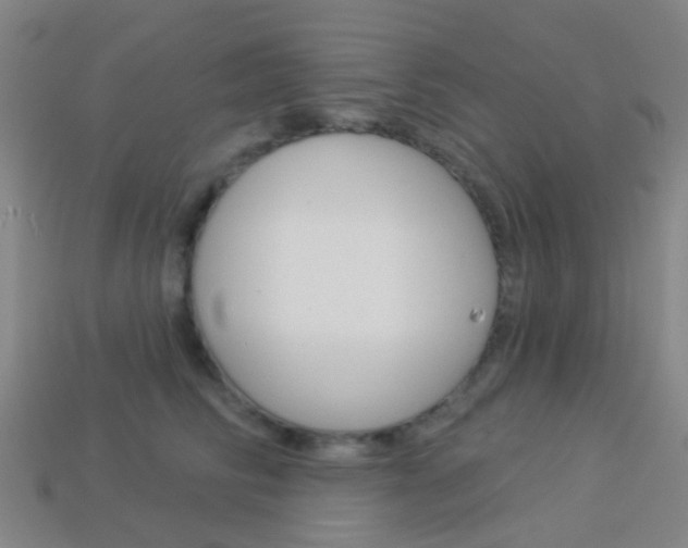 X0000114160710200910081133