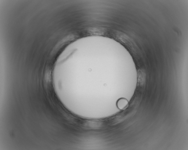 X0000114160713200910081133