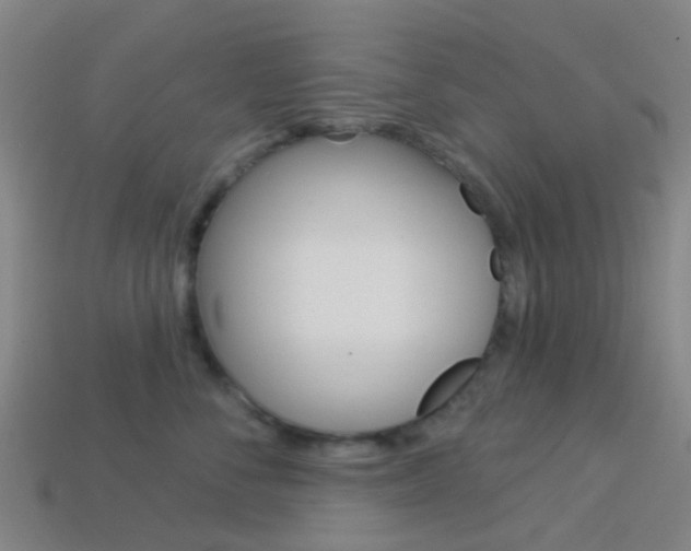 X0000114160716200910081133