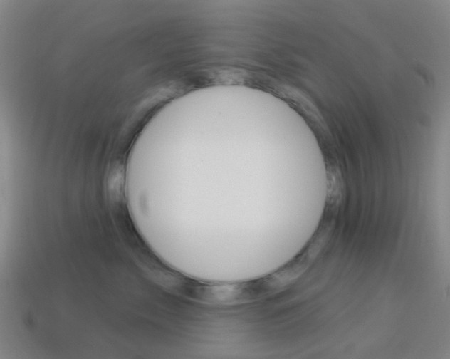 X0000114160717200910081133