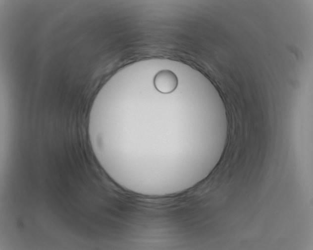 X0000114160720200910081133
