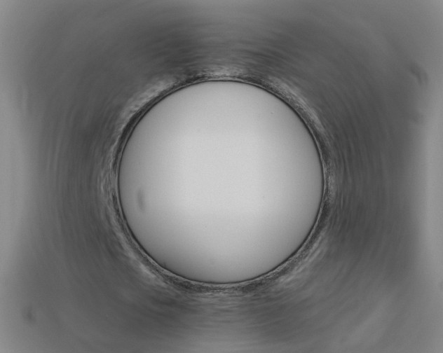 X0000114160721200910081133
