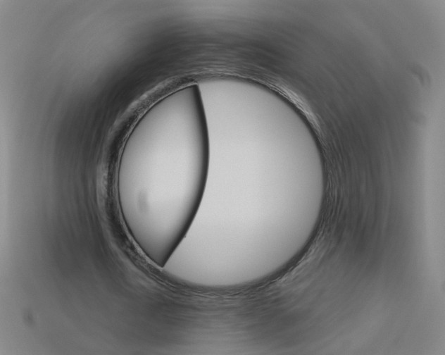 X0000114160722200910081133