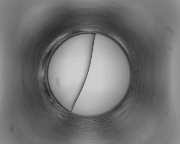 X0000114160723200910081133