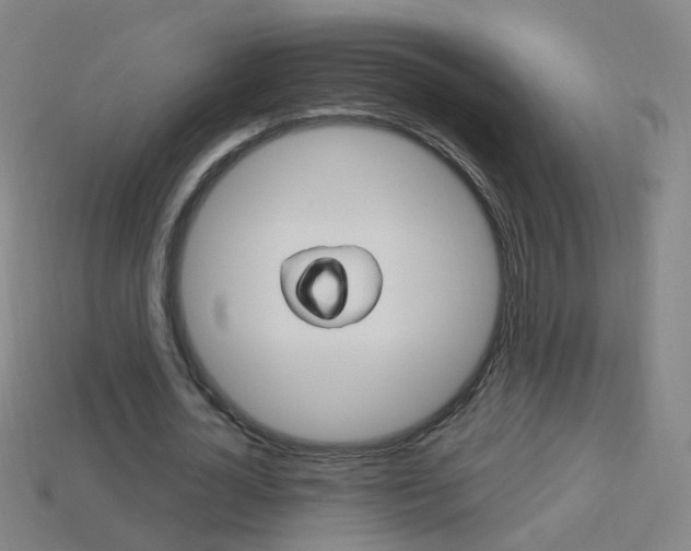 X0000114160724200910081133