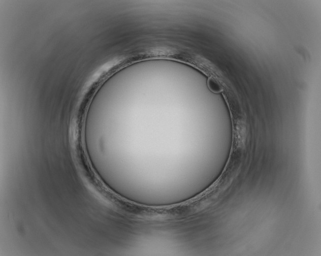 X0000114160726200910081133