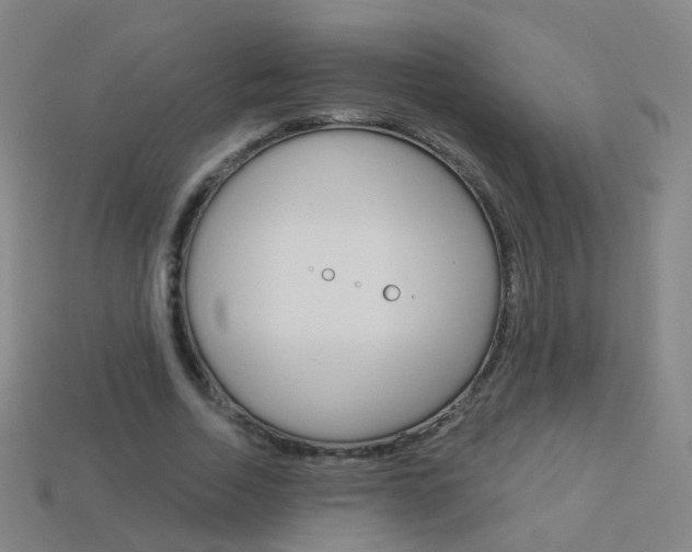 X0000114160730200910081133