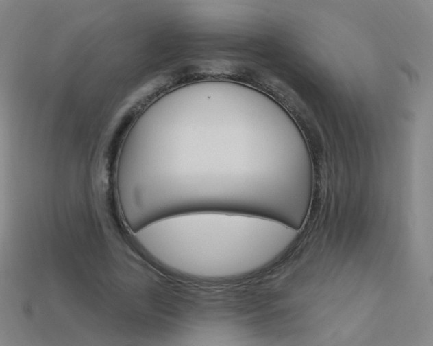 X0000114160731200910081133