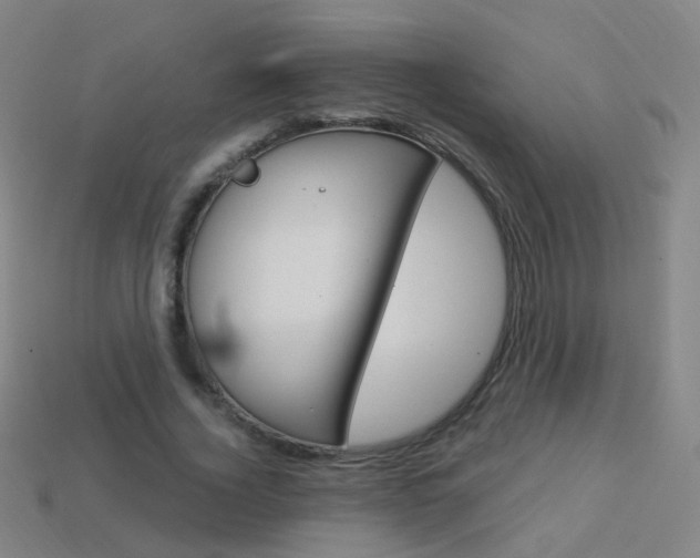 X0000114160732200910081133