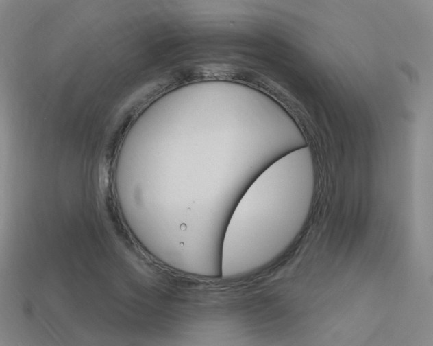 X0000114160733200910081133