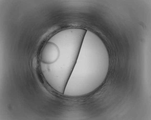 X0000114160734200910081133