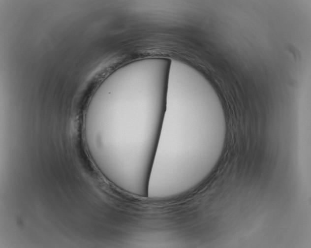 X0000114160735200910081133